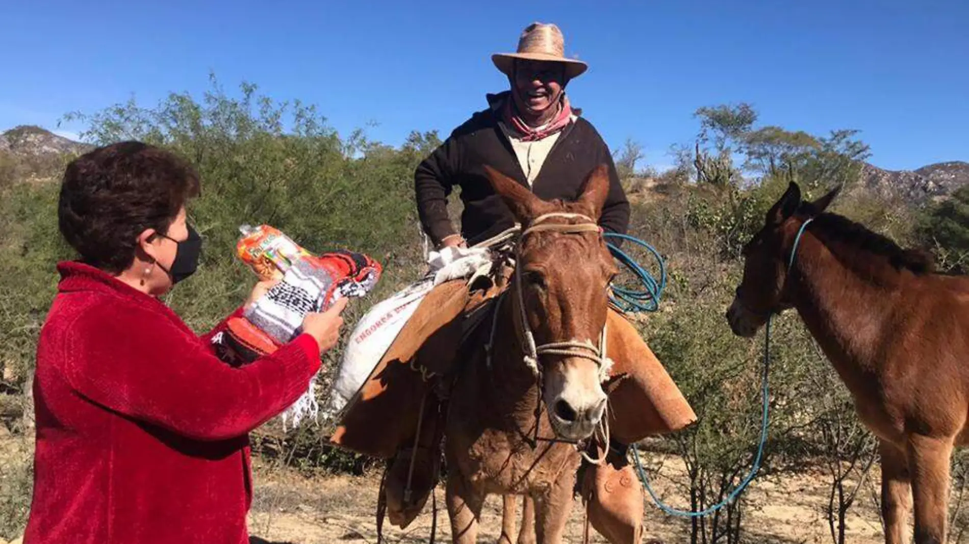 Cobijas rural caballo